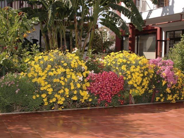 Side Elis Hotel Ngoại thất bức ảnh
